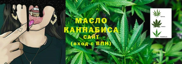 дмт Заводоуковск