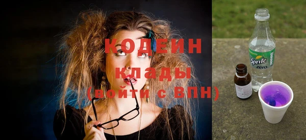 дмт Заводоуковск